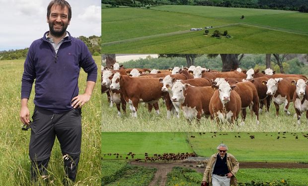 Con agua "mineral" y pasto: los secretos para producir 850 kilos de carne por hectárea al año, de Argentina a las selectas góndolas de Suiza