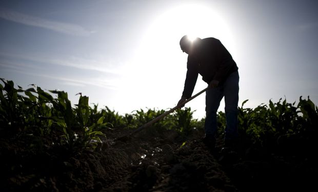 Síntomas del golpe de calor: qué hacer y cómo evitarlo