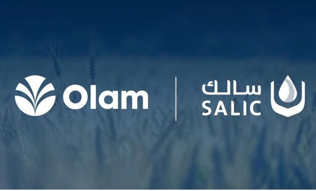 Grupo saudita amplia participação em gigante brasileira das carnes