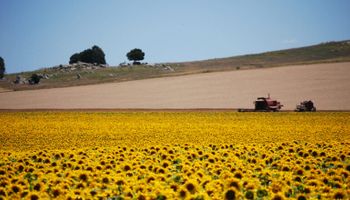 ¿Vale la pena invertir en el agro? Aseguran que "el futuro parece una vez más bendecir a Argentina”