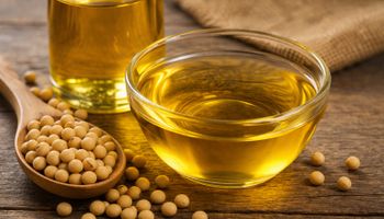 Petróleo, Oriente Médio e biodiesel: óleo de soja dispara no Brasil