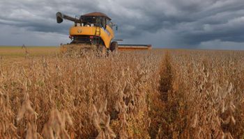 Chuvas intensas atrasam colheita da soja no Matopiba