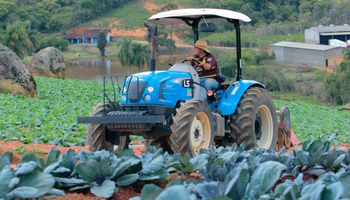 Tratores versáteis da LS Tractor otimizam os manejos dos hortifruticultores