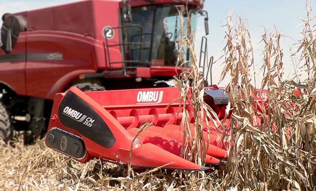 Ombú dirá presente en Agroactiva con una novedad que “revolucionará” la cosecha de maíz 