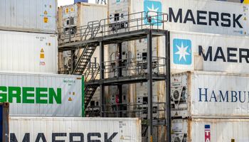 OMSA reconhece Brasil livre da gripe aviária e setor projeta retomada das exportações