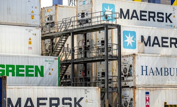 OMSA reconhece Brasil livre da gripe aviária e setor projeta retomada das exportações