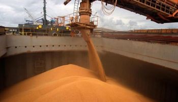 El agro liquidó más de 4 millones de dólares y fue el mejor mes de la historia por la baja temporal de retenciones