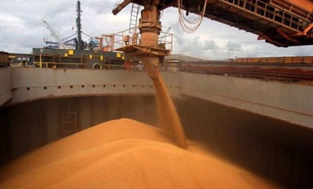 El agro liquidó más de 4 millones de dólares y fue el mejor mes de la historia por la baja temporal de retenciones