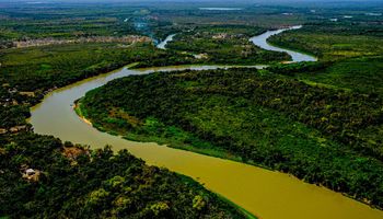 Projeto de lei pode barrar expansão do agro no Pantanal