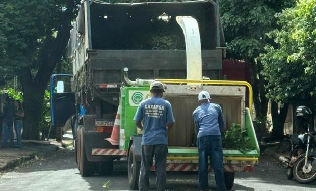 Paranavaí tem nova operação para preservar produção comercial de citros. (Foto: Câmara Técnica da Citricultura)