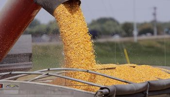 La CNV controlará el mercado de granos