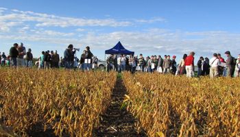 Operativo consenso para la Ley de Semillas