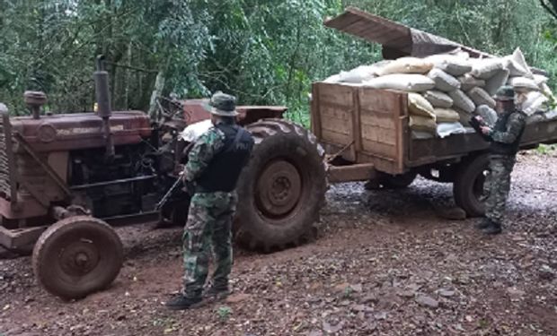 Misiones: secuestraron 6200 kilos de soja que iban a ser exportados ilegalmente 