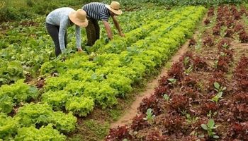 Orçamento de 2026 preserva seguro rural e reduz verbas em ministérios