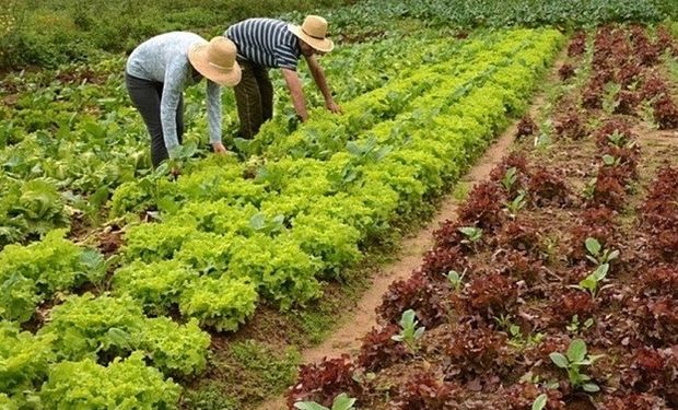 Orçamento de 2026 preserva seguro rural e reduz verbas em ministérios