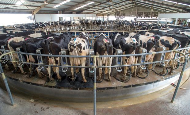 Preço do leite pago ao produtor sobe em março