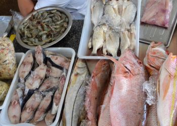 Governo cria nova regra para comprovar origem do pescado