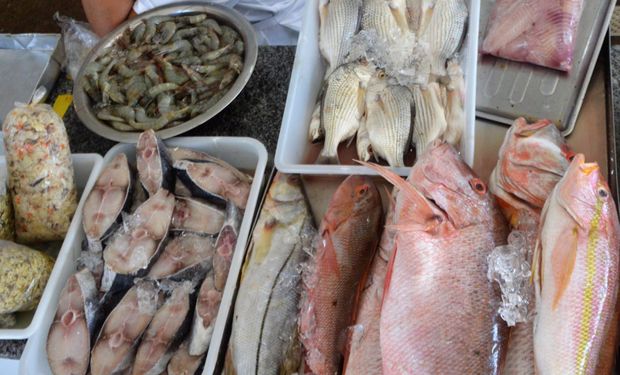 Governo cria nova regra para comprovar origem do pescado