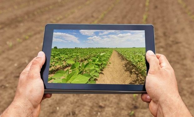 Origino, la agtech que asegura que los productores tienen miles de millones de dólares en activos bloqueados