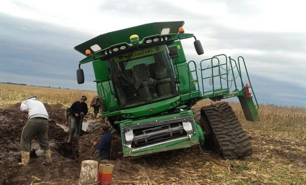 En algunas zonas del lote, las orugas también se hundieron, pero el equipo trabajo mejor que con las ruedas convencionales.