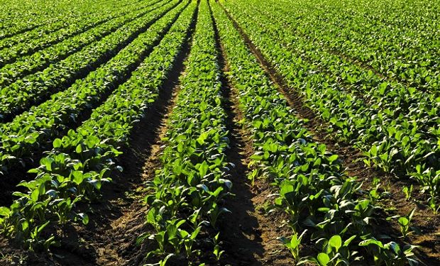 Uno de los principales cambios que podrían generarse tiene que ver con la exigencia de presentar un plan de manejo de suelos para el 100% de la actividad agropecuaria.