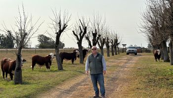 La oportunidad "silenciosa" que ofrece el campo argentino en una zona que se volvió estratégica: ¿Sube la hectárea por el cambio climático?