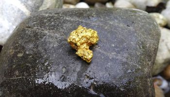 Agricultor encontra pepitas de ouro enquanto arava a terra, diz site