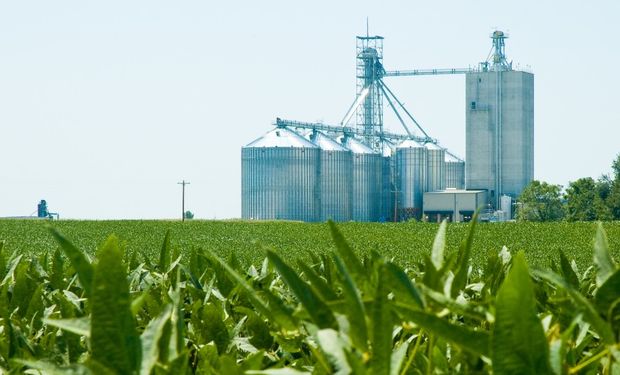 Soja y maíz: el mercado de granos está expectante del área que sembrará Estados Unidos en la campaña 2021/22