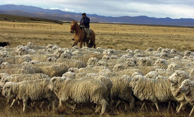 La Mesa de Enlace coincide en que a la carne ovina le falta marketing
