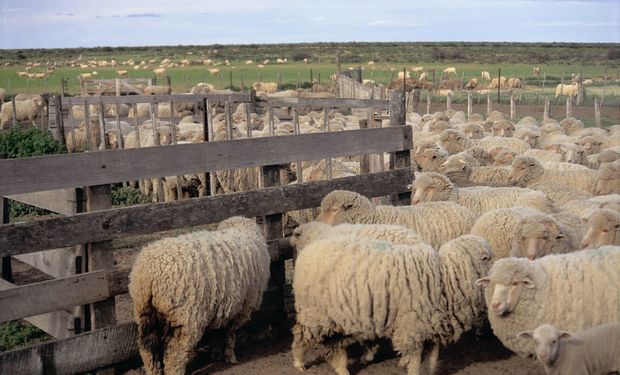 El Senasa abrió una consulta pública –vigente hasta el próximo 21 de marzo– para recoger opiniones sobre el proyecto.