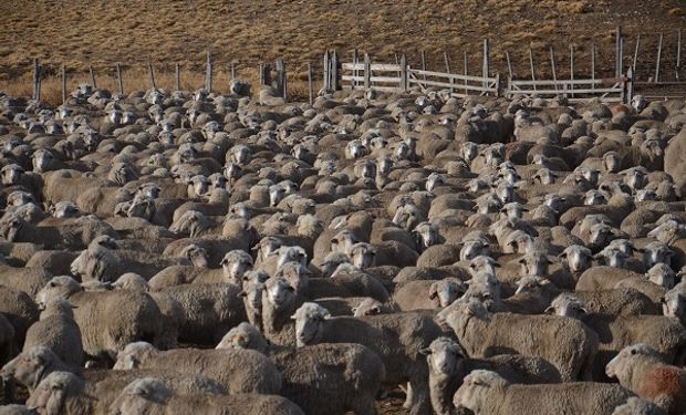 Santa Cruz decretó la emergencia agropecuaria por un año