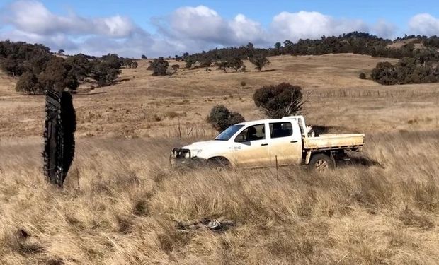 Un OVNI en un campo: un productor encontró un objeto extraño mientras arreaba a las ovejas