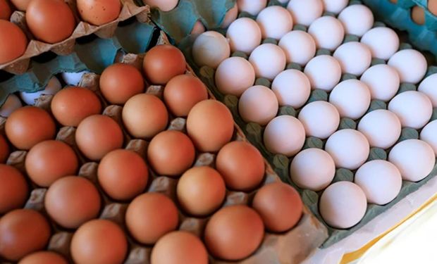 Preços dos ovos atingem menor patamar para o mês em quatro anos