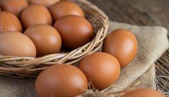 Setor de ovos celebra inclusão do produto na lista da Cesta Básica