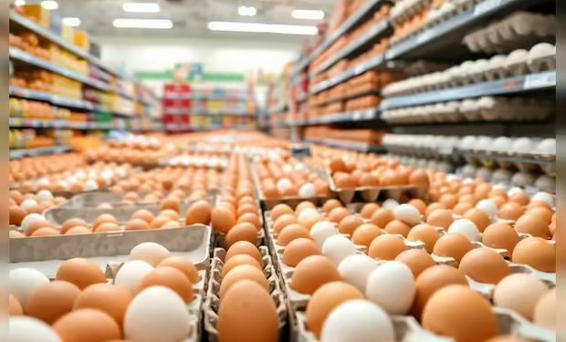 Ovos orgânicos são recolhidos aos milhões por surto de salmonela