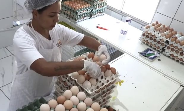 Do sonho à realidade: produtora mineira aposta em galinhas caipiras e faz negócio crescer sete vezes