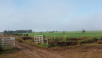Desplome en el mercado inmobiliario rural: cerró el 2019 con el peor mes en 6 años