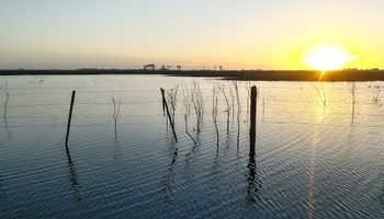 Las lluvias trajeron soluciones parciales