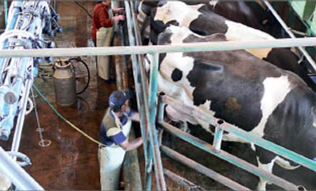 El precio de la leche en noviembre debería ubicarse en $2,70