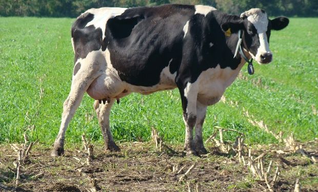 Santa Fe realizará una prueba para avanzar en el pago por calidad de la leche