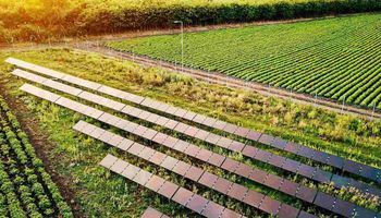 Produção de energia fotovoltaica avança 30% no Brasil e no agro