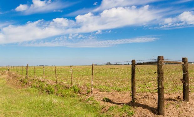 El clima primaveral se instala en la región centro y la sequía se afianza