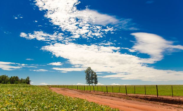 Pocas lluvias en el horizonte próximo