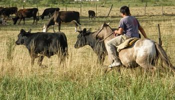 Trabajadores rurales acordaron un nuevo aumento: qué actividades alcanza