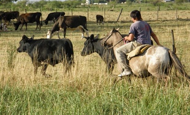 Trabajadores rurales acordaron un nuevo aumento: qué actividades alcanza