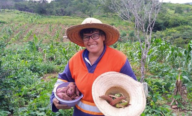 Uma das ações prevê disponibilizar ao agricultores mudas de palma forrageira. (Fonte: Mapa)