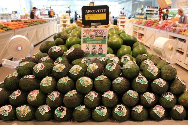 palta hello kity