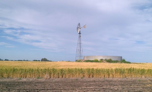 Llegaría una “tercera revolución de las Pampas” .