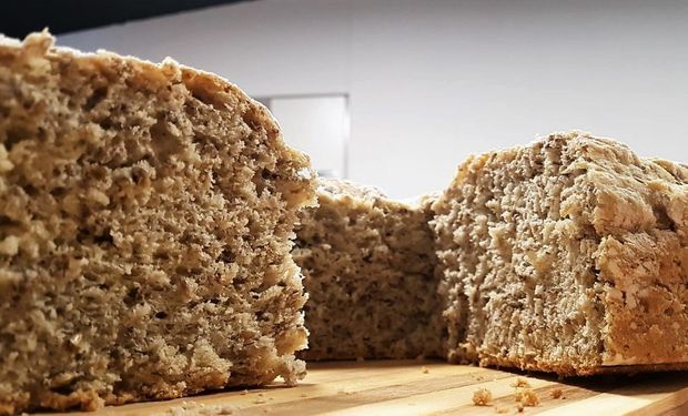 Elaboran un pan con desechos: la receta de un alimento supernutritivo 