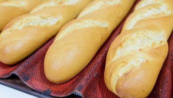 Científicos santafecinos crearon un pan más saludable que el tradicional